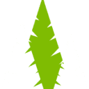 Evergreen Virtual Academy